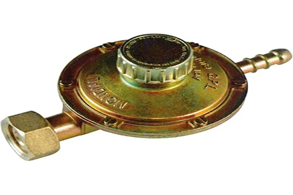 Regolatore Gnali Bocia